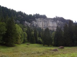 Le pareti delle Galeries dal bosco (11062 bytes)